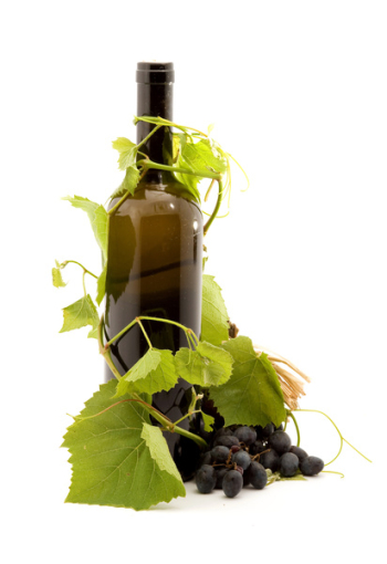 bottle of wine studio isolated bottle of wine studio isolated