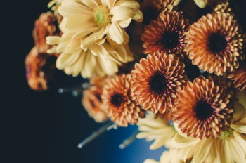 bouquet beige and orange flowers bouquet beige and orange flowers