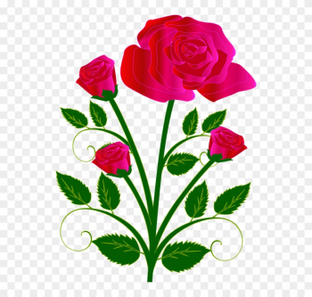Bouquet Flower Rose Red Love - Flower Rose Bouquet Flower Rose Red Love - Flower Rose