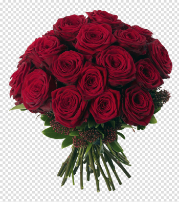 Bouquet of Rose Flowers PNG High-Quality Image