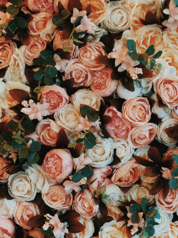 Bouquet of Roses Bouquet of Roses