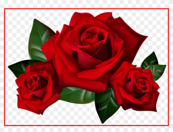 Bouquet Png Rose Bouquet Png Stunning Bouquet Of Frame - Rose Clipart Bouquet Png Rose Bouquet Png Stunning Bouquet Of Frame - Rose Clipart
