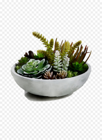Bowl M - Bowl M -