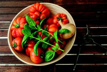 Bowl of Tomato, Onion and Basil Bowl of Tomato, Onion and Basil