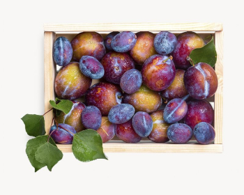 Box of plums image, isolated | Free Photo - rawpixel Box of plums image, isolated | Free Photo - rawpixel