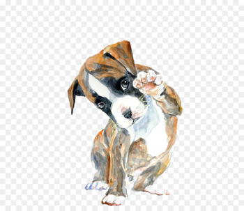 Boxer Watercolor painting Oil painting Drawing - Hello puppy Boxer Watercolor painting Oil painting Drawing - Hello puppy
