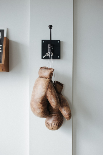Boxing Gloves Boxing Gloves