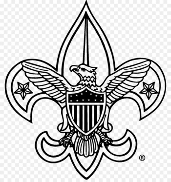 Boy Scouts of America Cub Scouting Eagle Scout - scout Boy Scouts of America Cub Scouting Eagle Scout - scout