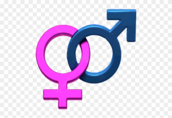 Boy Sign And Girl Sign Boy Sign And Girl Sign