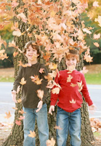 Boys Having Fun Throwing Leaves Boys Having Fun Throwing Leaves