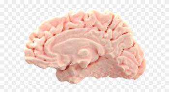 Brain (as Food) Brain (as Food)