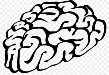 Brain Cartoon Drawing Clip art - Vector Simple hand-painted brain ...