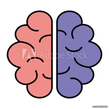 brain human organ icon