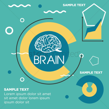 Brain infographic Brain infographic