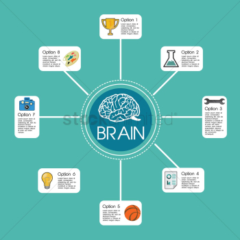 Brain infographic Brain infographic