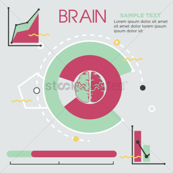 Brain infographic Brain infographic