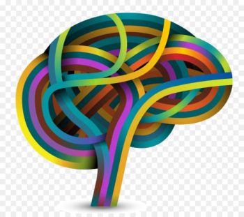brain Neuroscience Learning Portable Network Graphics - brain 