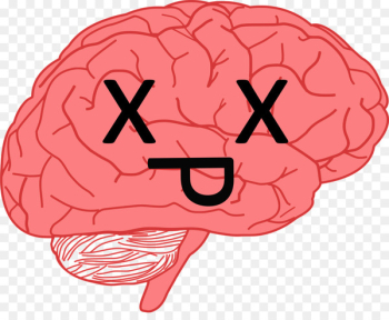 Brain Neuroscience Nose Head Organism - brain Brain Neuroscience Nose Head Organism - brain