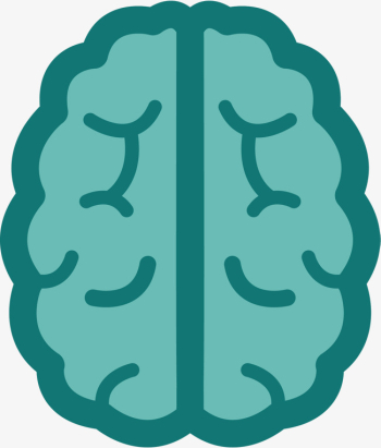 Brain Organ, Brain, Organ, Biomedical Cosmetic Surgery PNG and ...