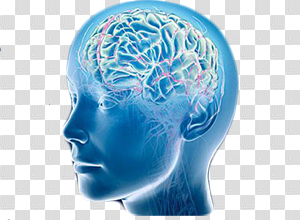 Brain Surgeon in pune | Brain Surgeon - Dr.Dilip Kiyawat