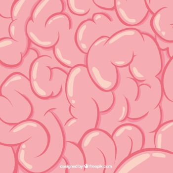 Brain texture Brain texture
