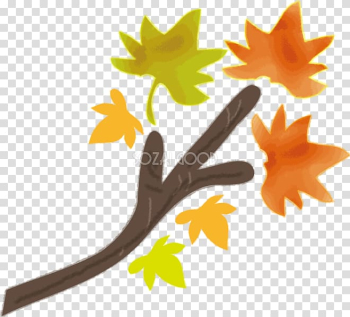 Branch Autumn leaf color Autumn leaf color Plant stem, autumn transparent background PNG clipart