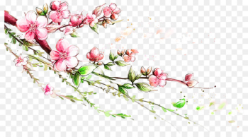 Branch Blossom - Plum flower Branch Blossom - Plum flower