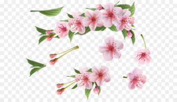 Branch Clip art - Spring Branch Pink Elements PNG Clipart Branch Clip art - Spring Branch Pink Elements PNG Clipart