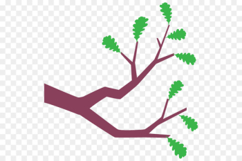 Branch, Drawing, Leaf, Plant PNG
