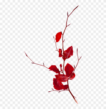 Branch Follaje Clip Art - Branch Follaje Clip Art Branch Follaje Clip Art - Branch Follaje Clip Art