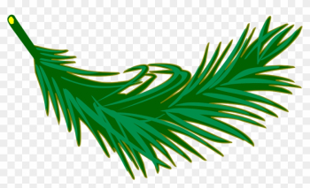 Branch Frond Leaf Leafy Leaves Palm Plant - Palm Leaf Clip Art Branch Frond Leaf Leafy Leaves Palm Plant - Palm Leaf Clip Art