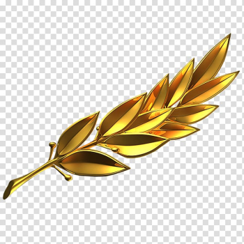 Branch Gold Laurel wreath, others transparent background PNG clipart