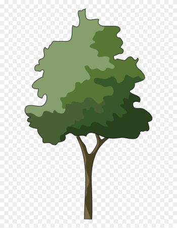 Branch Japanese Maple Tree Clip Art - Tree Branch Japanese Maple Tree Clip Art - Tree