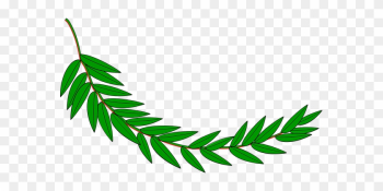 Branch Laurel Leaf Leafy Leaves Plant Bran - Hojas De Laurel Dibujo Branch Laurel Leaf Leafy Leaves Plant Bran - Hojas De Laurel Dibujo