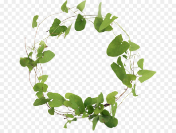 Branch Leaf Encapsulated PostScript Clip art - Leaf Branch Leaf Encapsulated PostScript Clip art - Leaf