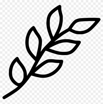 Branch Leaf Leaves Spring Decoration Nature Plant Comments - Leaf