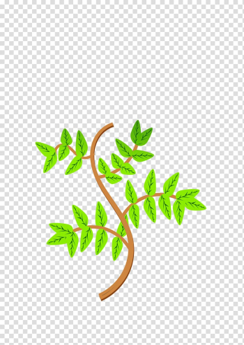 Branch Leaf Tree , Branch Leaves transparent background PNG clipart Branch Leaf Tree , Branch Leaves transparent background PNG clipart