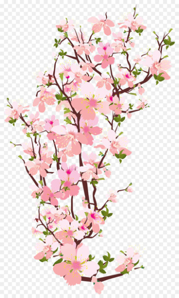 Branch Tree Cherry blossom Clip art - Transparent Spring Cliparts 