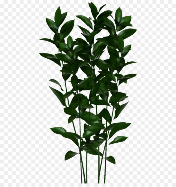 Branch Tree Fairy tale - Fairy tale tree Branch Tree Fairy tale - Fairy tale tree