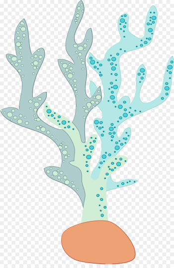 branch tree plant aquarium decor branch tree plant aquarium decor