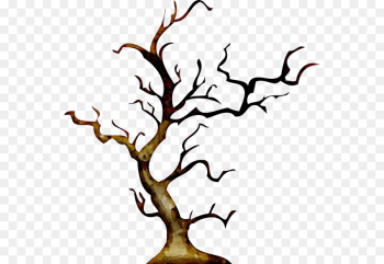 branch tree woody plant plant leaf branch tree woody plant plant leaf