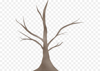 branch twig leaf tree plant branch twig leaf tree plant