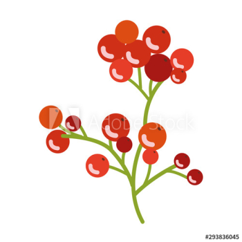 branch with acorns autumn fruits seasonal branch with acorns autumn fruits seasonal