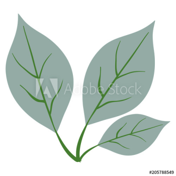 branch with leafs decorative design branch with leafs decorative design