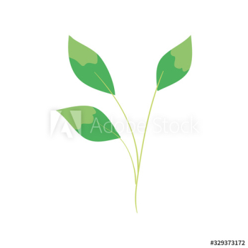 branch with leafs nature ecology design branch with leafs nature ecology design