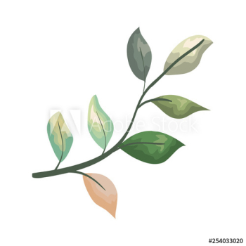 branch with leafs plant