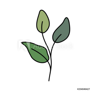 branch with leafs plant