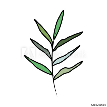 branch with leafs plant