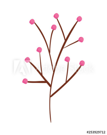 branch with seeds plant
