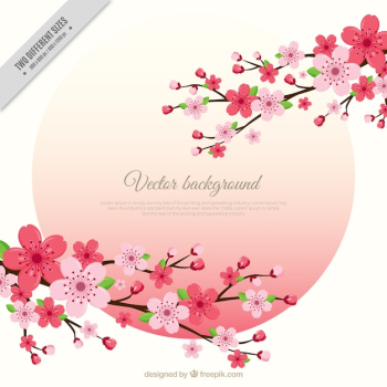 Branches of cherry blossoms background Branches of cherry blossoms background